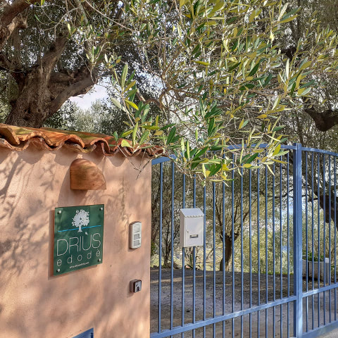 Ingresso struttura