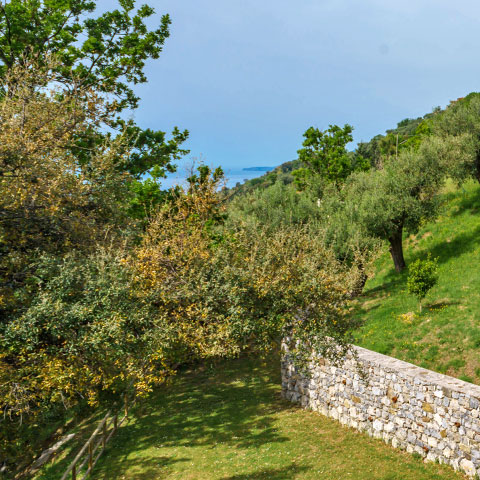 Vista su Punta infreschi